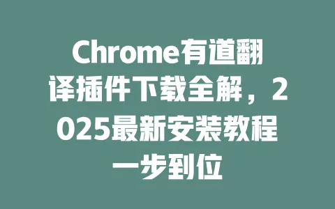 Chrome有道翻译插件下载全解,2025最新安装教程一步到位 一