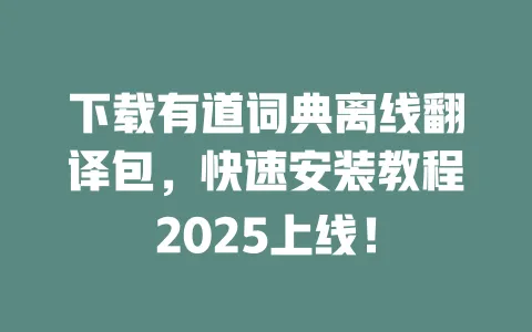 下载有道词典离线翻译包,快速安装教程2025上线! 一