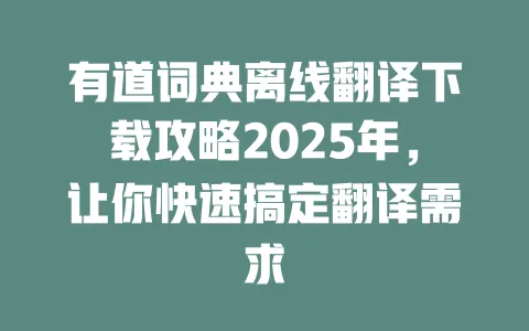 有道词典离线翻译下载攻略2025年,让你快速搞定翻译需求 一