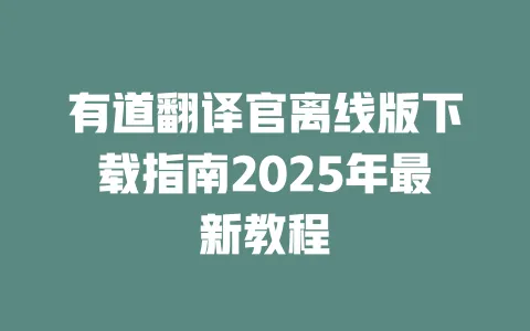有道翻译官离线版下载指南2025年最新教程 一